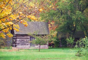 DSC08172 Large Web view